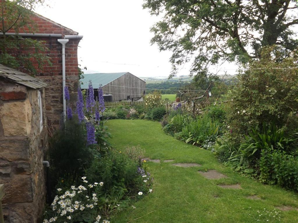 Hillis Close Farm Cottage Холтуисъл Екстериор снимка