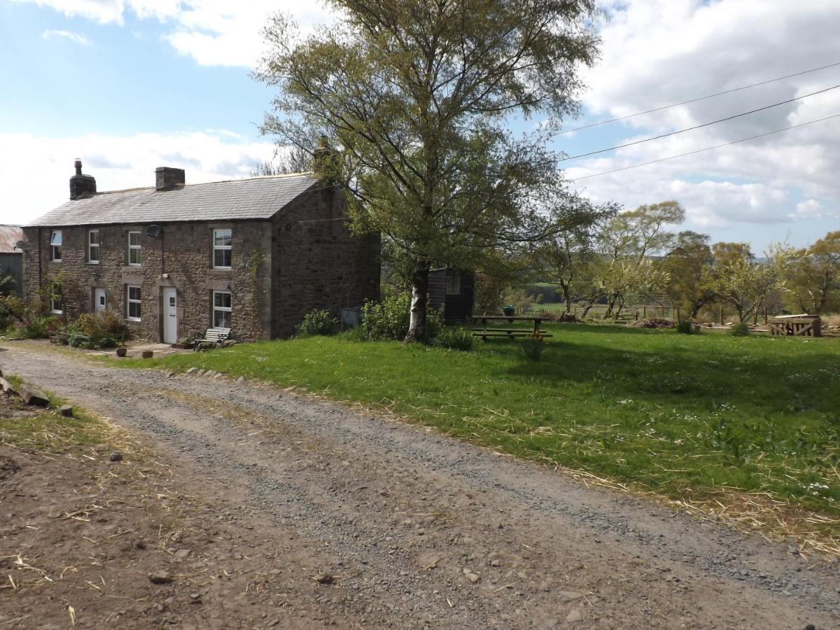Hillis Close Farm Cottage Холтуисъл Екстериор снимка